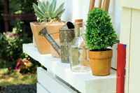 ジャンクガーデン