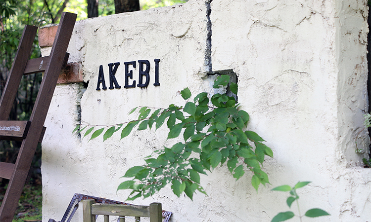 シングルルーム あけび