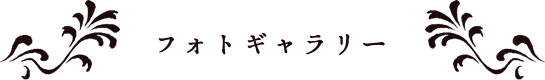 フォトギャラリー