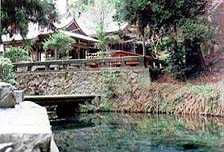 1999年11月／長男阿蘇デビュー！