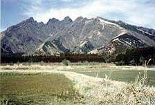 2001年12月／転勤令と同時に、退職を決意