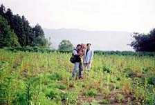 2002年5月／退職と同時に土地購入