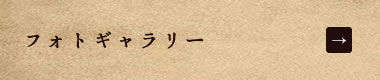 フォトギャラリー