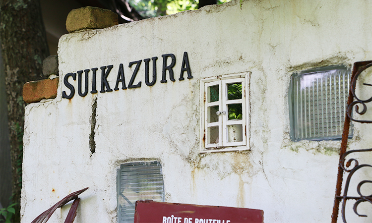 和室タイプの客室　すいかずら