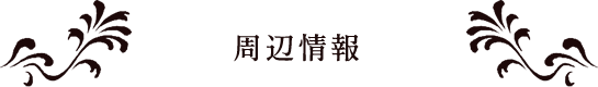 周辺情報