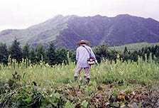 2002年7月／草刈